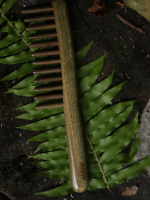 Mystic Sandalwood 12-Tooth Wooden Comb – Natural Meridian Massage & Hair Therapy